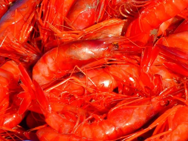 LANGOSTINOS COCIDOS 800GR.