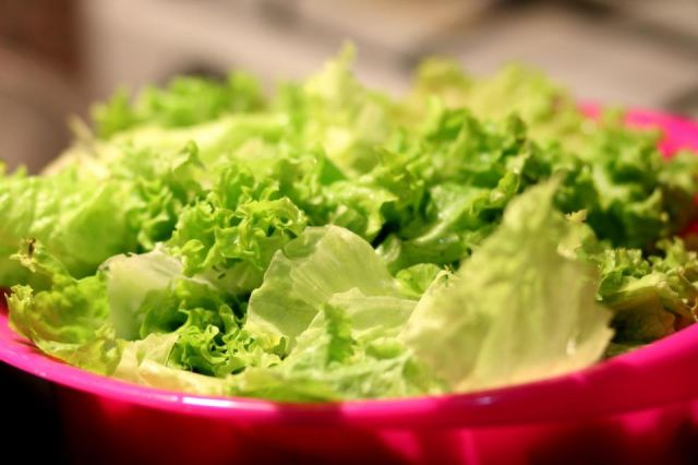 LECHUGA ICEBERG